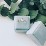 garden ring
